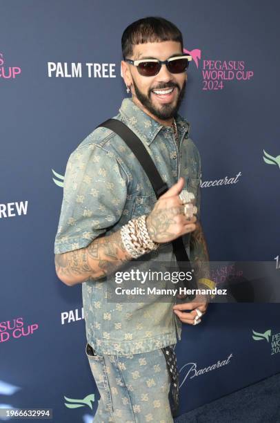 Anuel AA attends Pegasus World Cup 2024 at Gulfstream Park on January 27, 2024 in Hallandale, Florida.