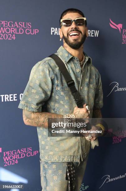 Anuel AA attends Pegasus World Cup 2024 at Gulfstream Park on January 27, 2024 in Hallandale, Florida.
