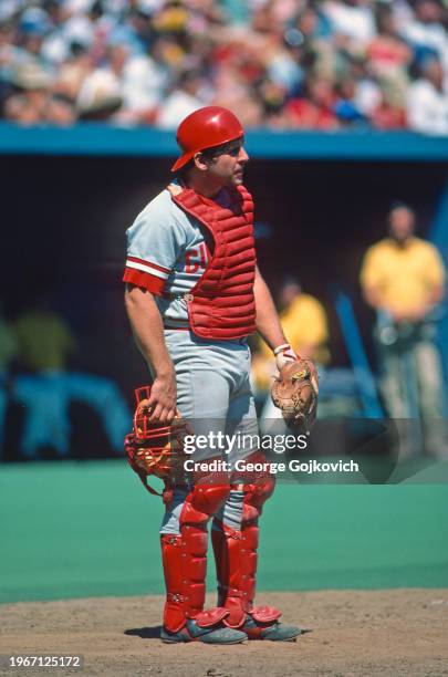 Catcher Brad Gulden of the Cincinnati Reds looks on from the field during a Major League Baseball game against the Pittsburgh Pirates at Three Rivers...