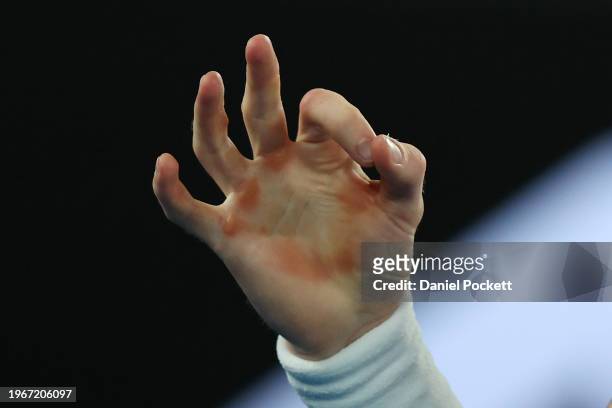Detail of Jannik Sinner's hand is seen during their Men's Singles Final match against Daniil Medvedev during the 2024 Australian Open at Melbourne...