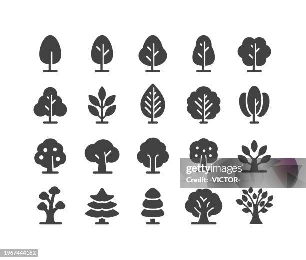 tree icons - classic series - willow tree stock illustrations