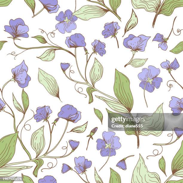 sweet pea seamless pattern - sweetpea stock illustrations