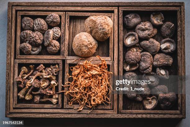 dried mushrooms in wooden box - dried food stock pictures, royalty-free photos & images