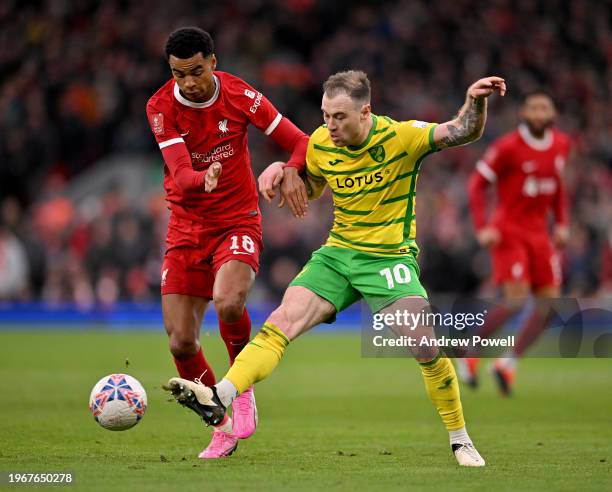 Cody Gakpo of Liverpool competing with Ashley Barnes of Norwich City during the Emirates FA Cup Fourth Round match between Liverpool and Norwich City...