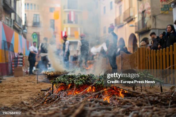 Calçots roasting, on January 28 in Valls, Tarragona, Catalonia, Spain. The last Sunday of January is celebrated in Valls the Great Feast of the...