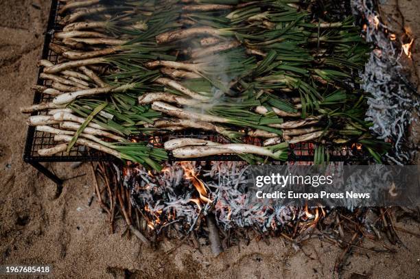 Calçots roasting, on January 28 in Valls, Tarragona, Catalonia, Spain. The last Sunday of January is celebrated in Valls the Great Feast of the...