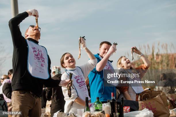 People eat calçots, on January 28 in Valls, Tarragona, Catalonia, Spain. The last Sunday of January is celebrated in Valls the Great Feast of the...