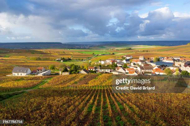 autumnal vineyards overlooking rural village of cramant - vigne champagne stock pictures, royalty-free photos & images