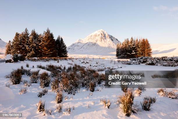 frozen winter landscape at sunrise - grampians stock pictures, royalty-free photos & images