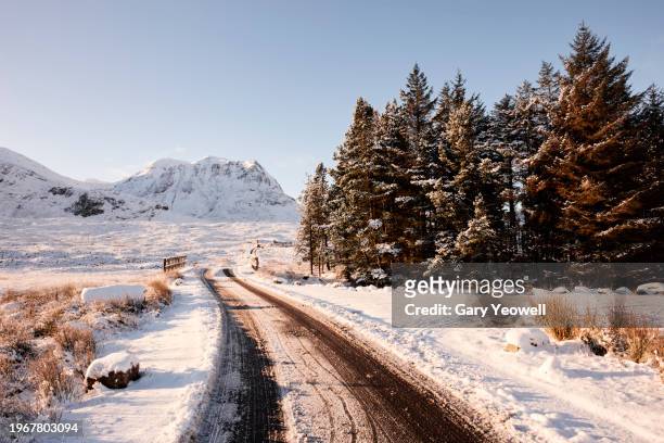 road leading through frozen winter landscape at sunrise - grampians stock pictures, royalty-free photos & images