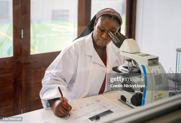 pathologist studying samples on microscope and making a test report in lab - labbrapport bildbanksfoton och bilder