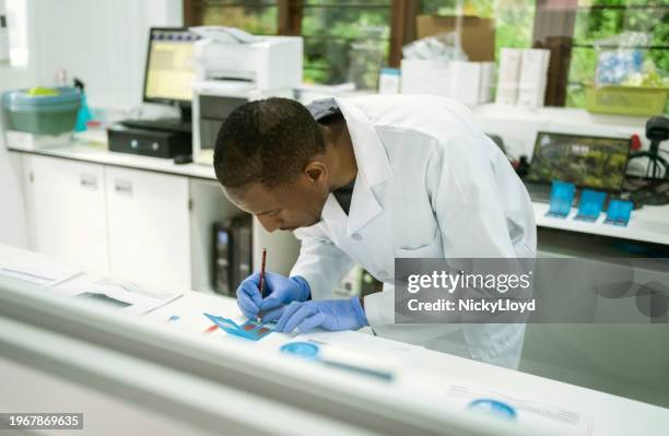 un pathologiste marque des lames de sang isolées pour les tester en laboratoire - étiqueter photos et images de collection