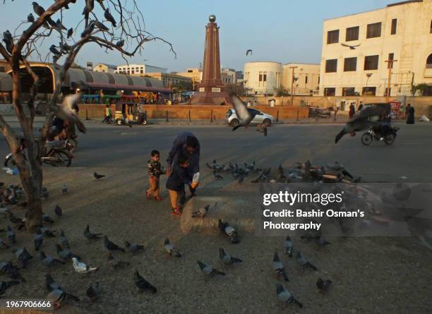 people feeding birds on footpath and crossing in different neighborhood of karachi - world kindness day stock-fotos und bilder