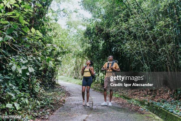 traveler couple visiting forest park - ecoturismo imagens e fotografias de stock