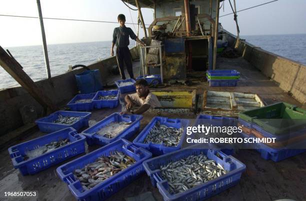 Mohammed Baker , a crew member of a small fishing boat handles plastic trays holding some of the fish they had netted earlier in the day during a...