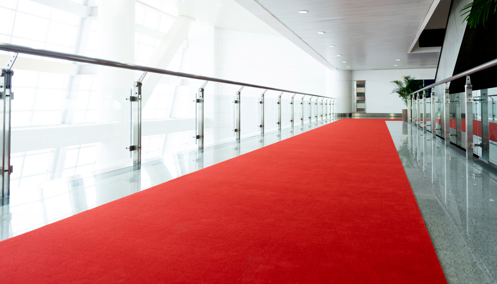 high traffic carpet
