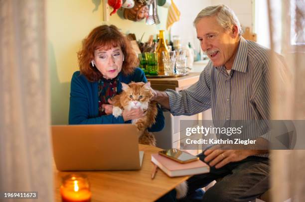 senior couple with their cat sitting at kitchen table, using laptop - neva masquerade stock pictures, royalty-free photos & images