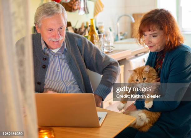 senior couple with their cat sitting at kitchen table, using laptop - neva masquerade stock pictures, royalty-free photos & images