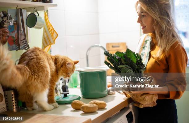 woman making soup, her cat on the kitchen counter - neva masquerade stock pictures, royalty-free photos & images