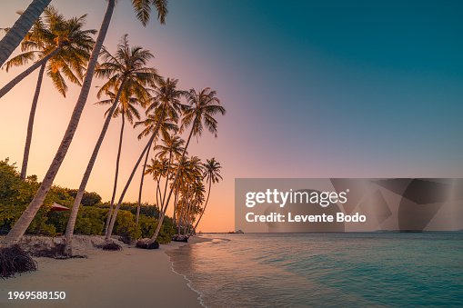 Tranquil summer vacation or holiday landscape. Tropical island sunset beach. Palm trees over calm sea water, sun rays, colorful sky. Exotic nature view, inspirational and peaceful seascape reflection Tranquil summer vacation or holiday landscape. Tropical island sunset beach. Palm trees over calm sea water, sun rays, colorful sky. Exotic nature view, inspirational and peaceful seascape reflection
