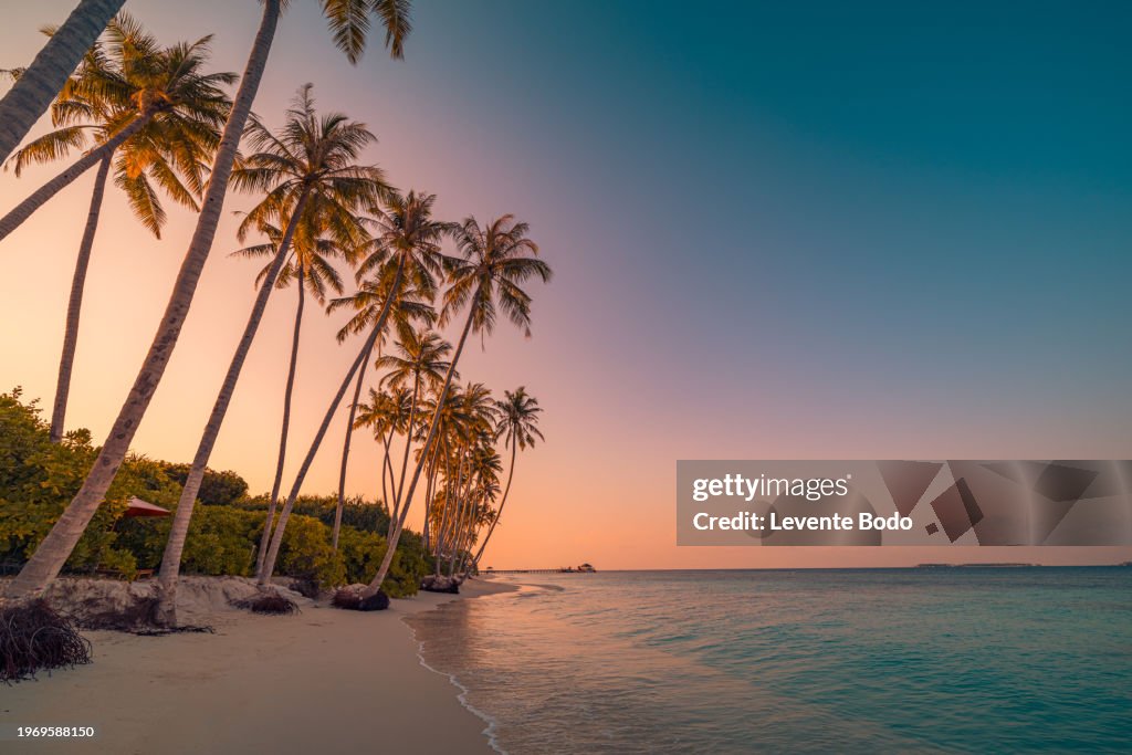 Tranquil summer vacation or holiday landscape. Tropical island sunset beach. Palm trees over calm sea water, sun rays, colorful sky. Exotic nature view, inspirational and peaceful seascape reflection
