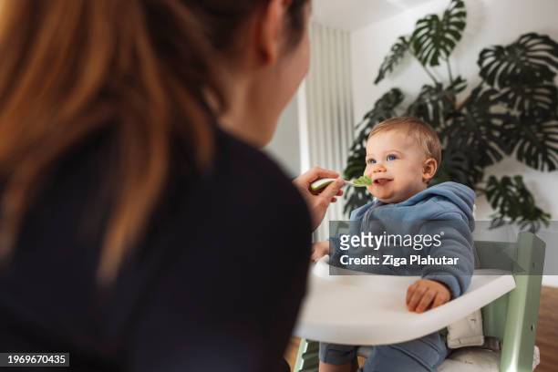mother feeds baby from spoon in modern house - ziga plahutar stock pictures, royalty-free photos & images