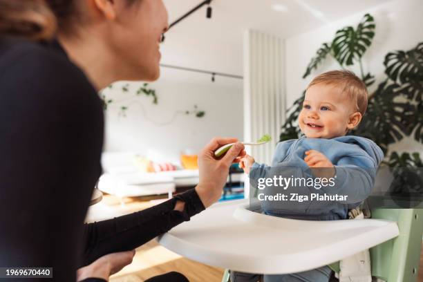 mother feeds baby from spoon in modern house - ziga plahutar stock pictures, royalty-free photos & images