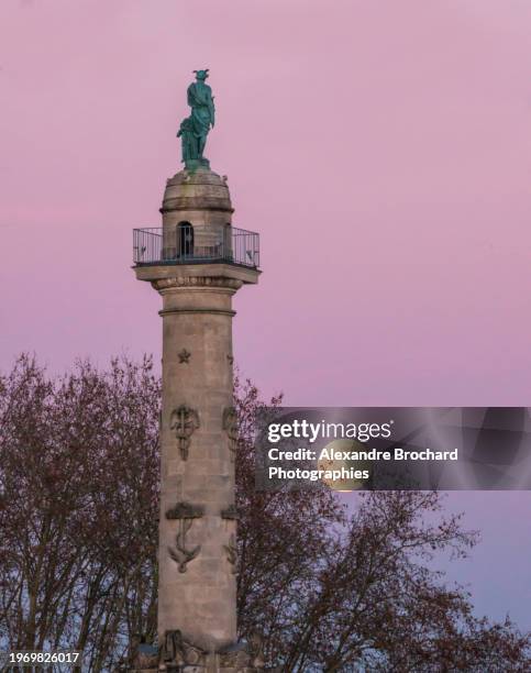 full moon on bordeaux monuments - hipostómio imagens e fotografias de stock