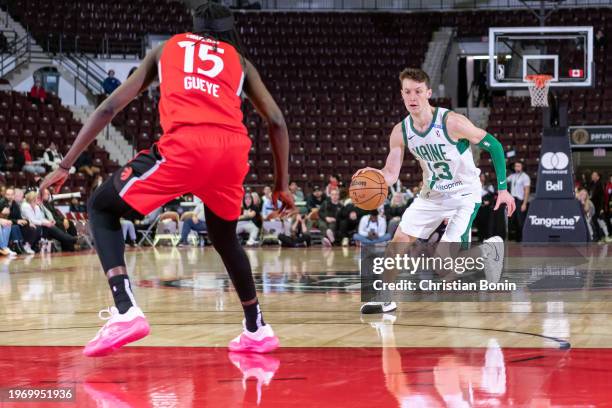 Drew Peterson of the Maine Celtics handles the ball during an NBA G League game against the Raptors 905 at the Paramount Fine Foods Centre on January...