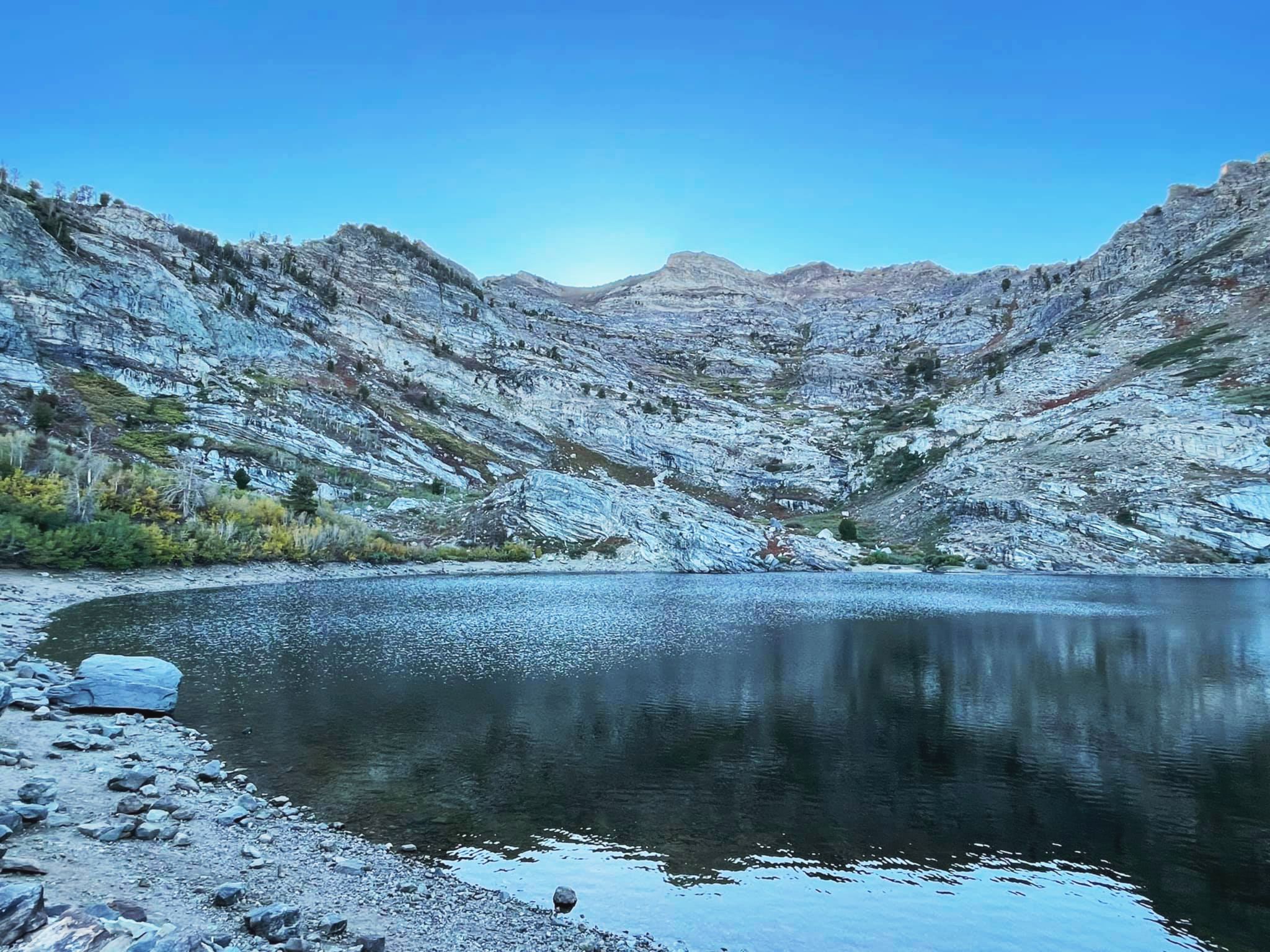 elko location