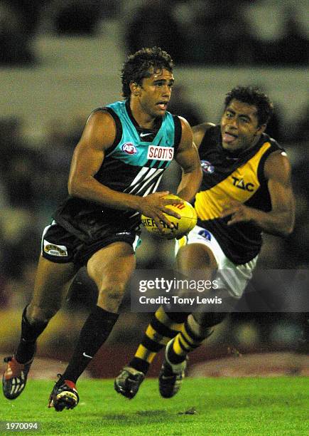 David Rodan Tony The Tiger Photos and Premium High Res Pictures - Getty Images