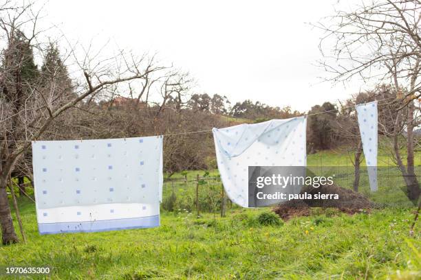 bed linen hanging on a clothesline - gripping bedsheets stock pictures, royalty-free photos & images