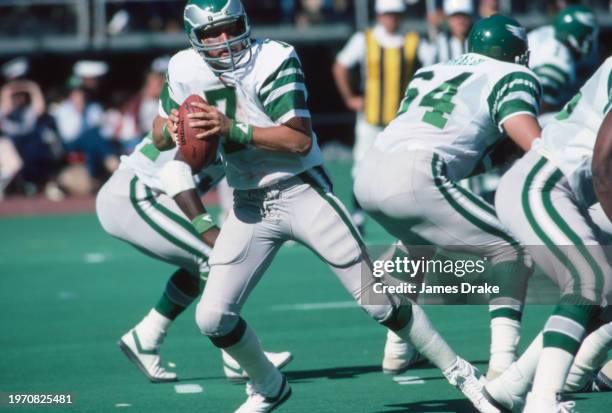 Philadelphia Eagles quarterback Ron Jaworski drops back to pass during a regular season game against the St. Louis Cardinals on September 25, 1983 at...