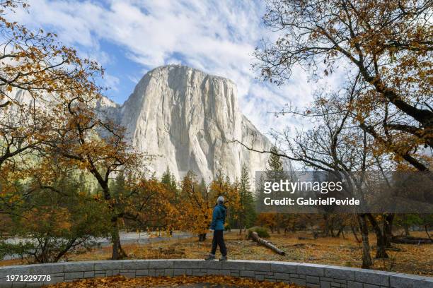 woman hiking in yosemite national park - overmountain victory national historic trail stock pictures, royalty-free photos & images