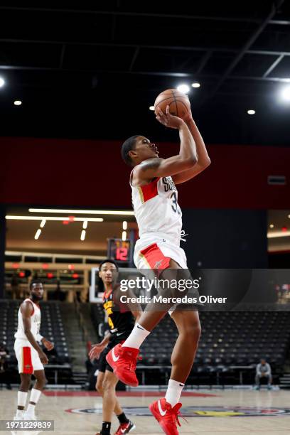 February 1: Malcolm Hill of the Birmingham Squadron shoots the ball during the game against the College Park Skyhawks at Legacy Arena on February 1,...