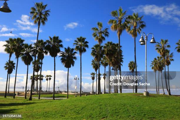 venice beach california public park with skate park - santa monica mountains stock pictures, royalty-free photos & images