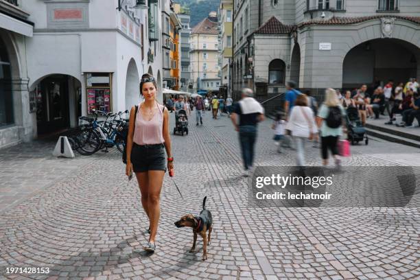 bolzano city break with a pet companion - bolzano stock pictures, royalty-free photos & images