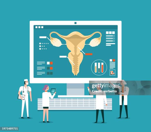 human uterus - analyzing - myometrium stock illustrations