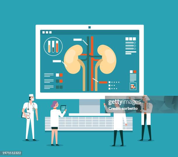 stockillustraties, clipart, cartoons en iconen met kidney organ - analyzing - nierbekkenontsteking