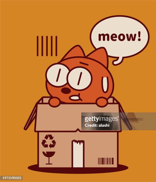 a quirky and cute kitten pokes its head out of a corrugated box, cardboard box, or carton - cat in box stock illustrations