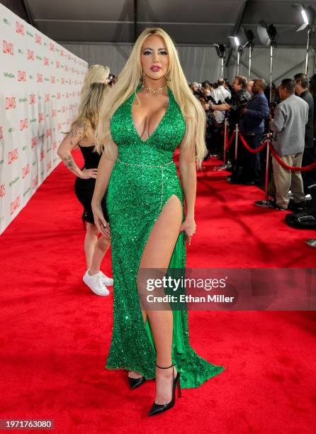 Nicolette Shea attends the 2024 Adult Video News Awards at Resorts World Las Vegas on January 27, 2024 in Las Vegas, Nevada.