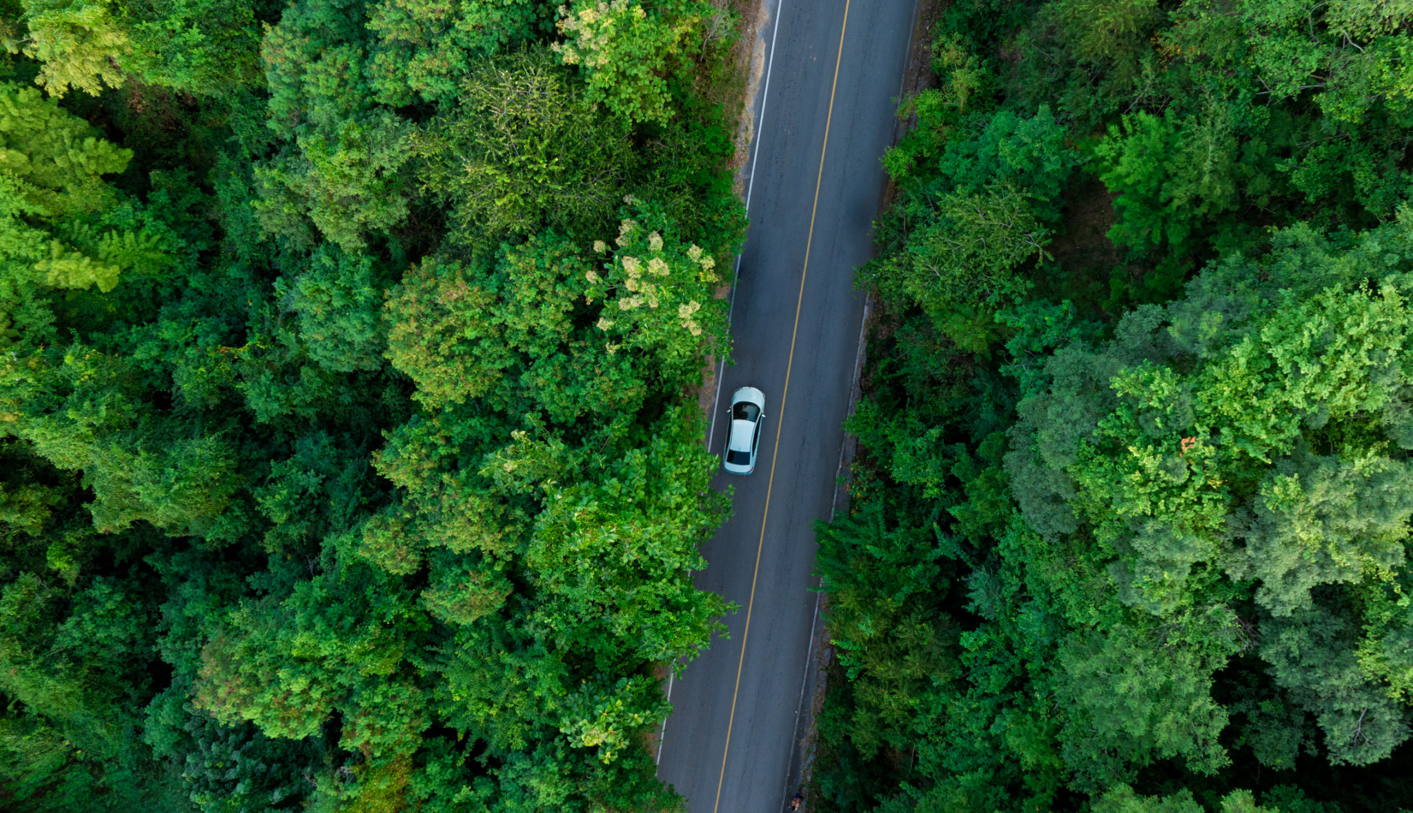 eco-friendly cars