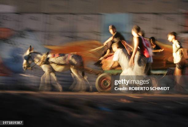 Group of Palestinians carry roof tiles from the remains of settler homes on a donkey cart as they return 13 September 2005 to the southern Gaza Strip...