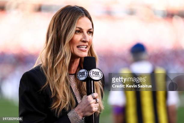 Fox Sports reporter Erin Andrews broadcasts from the sidelines prior to the NFC Championship NFL football game against the Detroit Lions at Levi's...