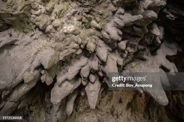 the flowstone and stalactites at the main chamber of tham luang cave looking from inside of the cave. tham luang cave complex in khun nam nang non forest park, which is located in chiang rai's mae sai district. - calcite stock pictures, royalty-free photos & images