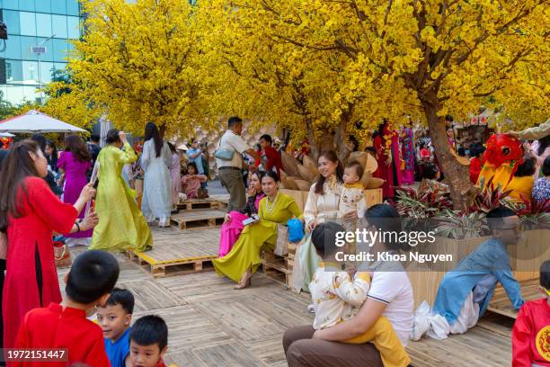 año nuevo lunar vietnamita. la gente usa la tradición vietnamita ao dai para tomar fotos y disfrutar en la calle con albaricoque de flor amarilla en las vacaciones de tet. - vietnam teen fotografías e imágenes de stock