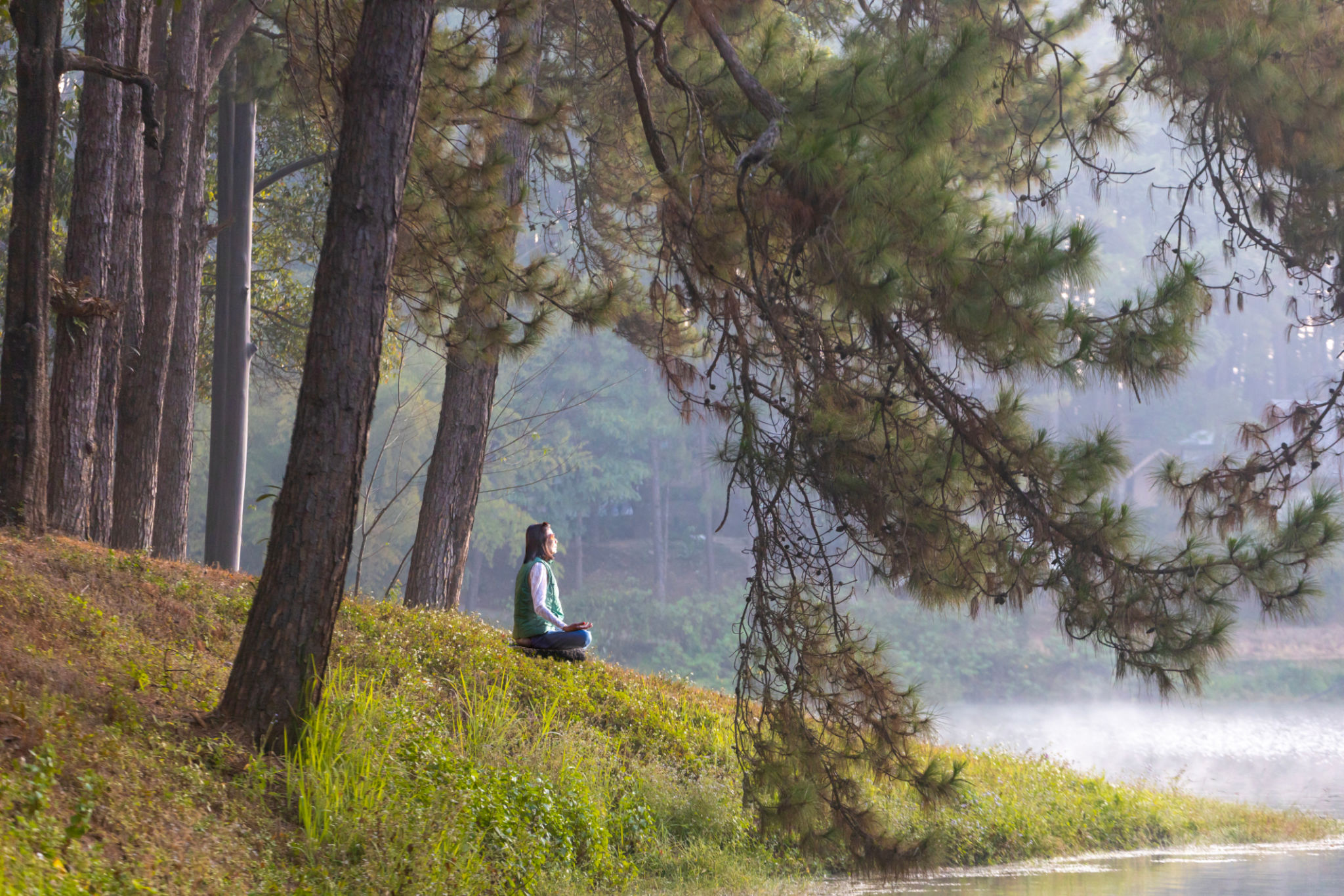 Back of woman relaxingly practicing meditation yoga in the forest to attain happiness from inner peace wisdom serenity with beam of sun light for healthy mind wellbeing and wellness soul concept Back of woman relaxingly practicing meditation yoga in the forest to attain happiness from inner peace wisdom serenity with beam of sun light for healthy mind wellbeing and wellness soul concept