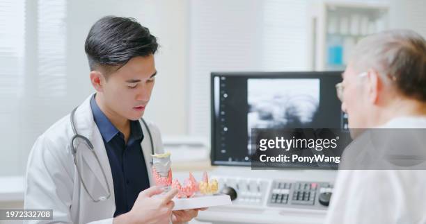doctor explain ent model - human internal organs 3d model stock-fotos und bilder