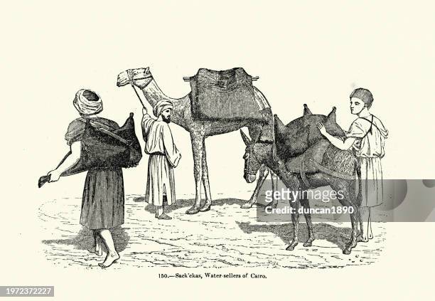 ilustrações, clipart, desenhos animados e ícones de vendedores de água egípcios, água armazenada em peles de animais, camelo, cairo, egito, década de 1850, século 19 vitoriano - middle eastern ethnicity