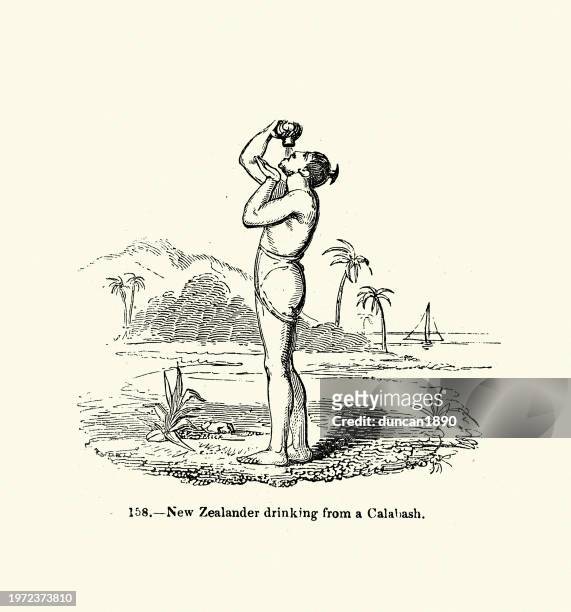 neuseeländischer maori-mann, der wasser aus einer kalebasse oder einem flaschenkürbis trinkt, 1850er jahre, viktorianisches 19. jahrhundert - new zealand food stock-grafiken, -clipart, -cartoons und -symbole
